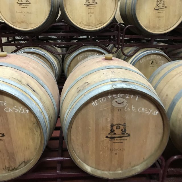 The Real Algarve: 2 Boutique Wineries & Silves Tour - From Albufeira to the vineyards around Lagoa