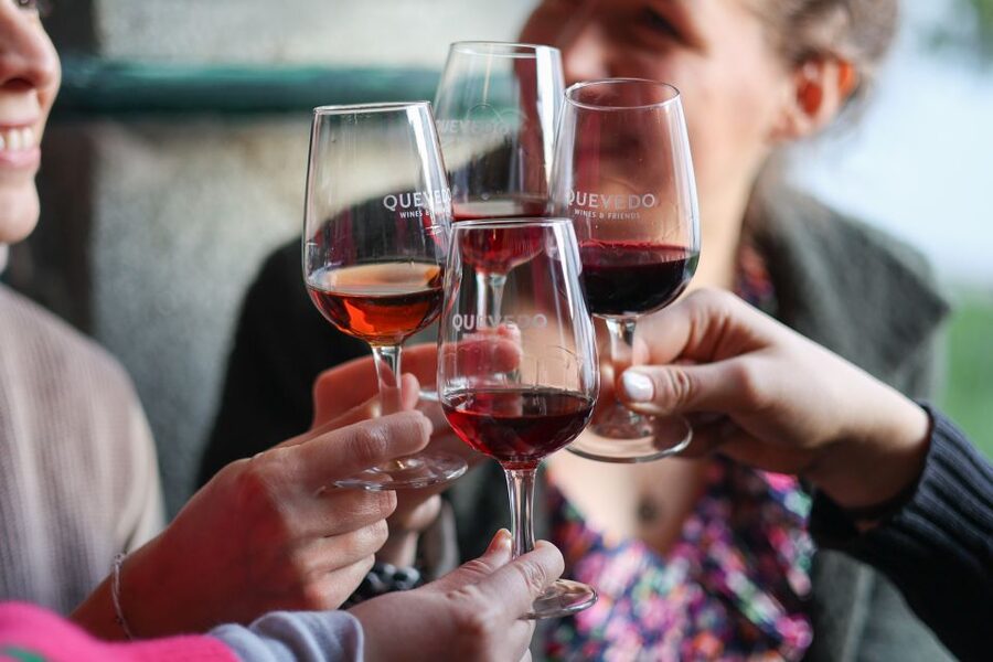Vila Nova de Gaia: Port Wine Tasting with Cheese Pairing - The guide can make or break the hour