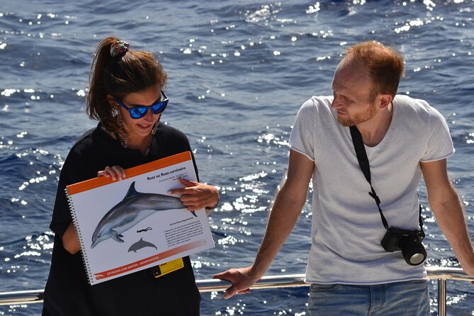 VipDolphins Luxury Whale Watching - Sailing out from Funchal Marina