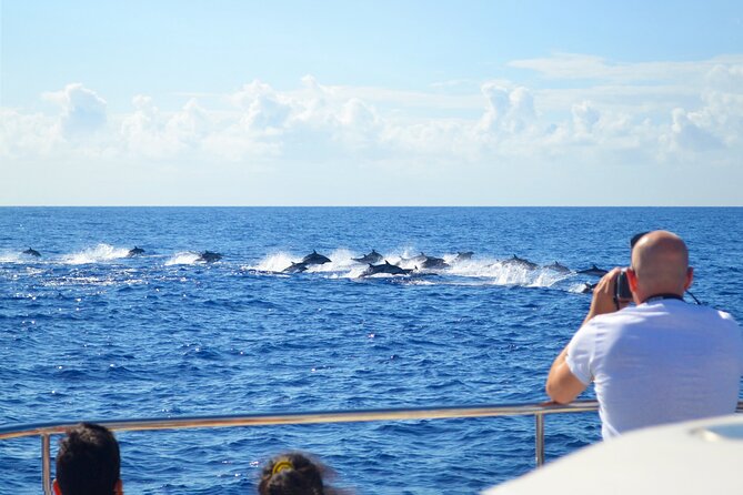 VipDolphins Luxury Whale Watching - The Cabo Girao swimming stop