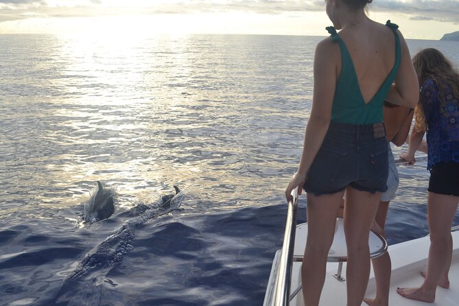 VipDolphins Luxury Whale Watching - Food, drinks, and the VIP feel