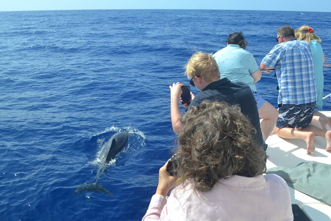 VipDolphins Luxury Whale Watching - Who will enjoy this trip most
