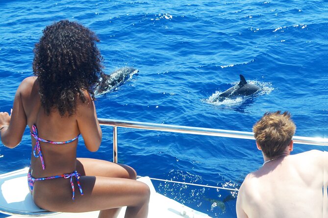 VipDolphins Luxury Whale Watching - Looking for dolphins and pilot whales