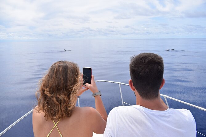 Whale and Dolphin Watching Tour in Madeira - A coastal cruise with wildlife on the horizon