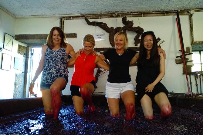 Wine Venture and Boat Trip in Douro Valley from Porto - What the $199.53 price includes