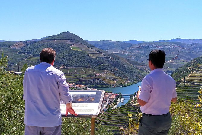 Wine Venture and Boat Trip in Douro Valley from Porto - Who will enjoy this tour most